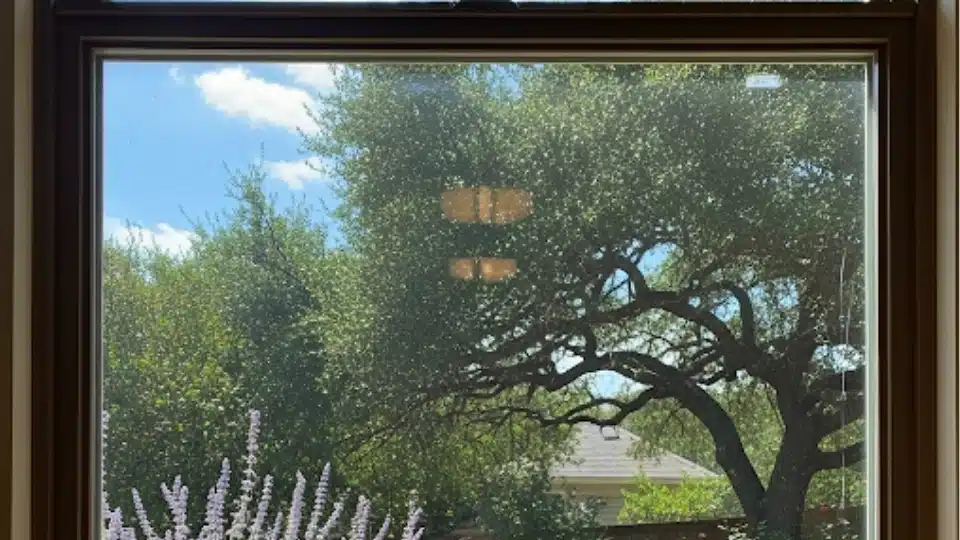 Crystal clear window after expert seal repair in Austin TX