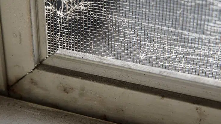 lose up of torn fiberglass window screen mesh on an Austin Texas home